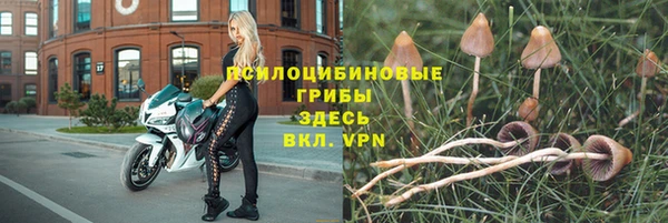 герыч Балахна